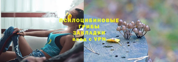 твердый Алексеевка