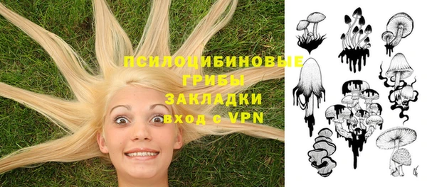 твердый Алексеевка
